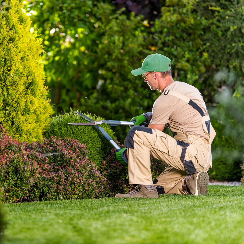 GARDEN - enoughdream.com