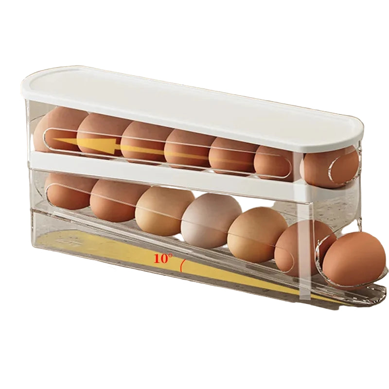 Double Layer Rolling Egg Dispenser Refrigerator Egg Storage
