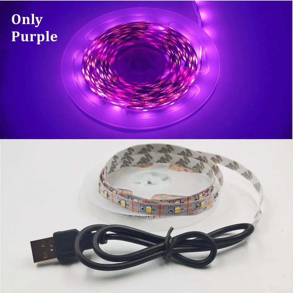 USB LED Strip Light 5V 3528 Warm Cool White Pink Green Blue Red