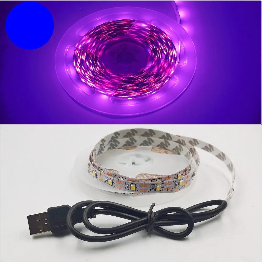 USB LED Strip Light 5V 3528 Warm Cool White Pink Green Blue Red