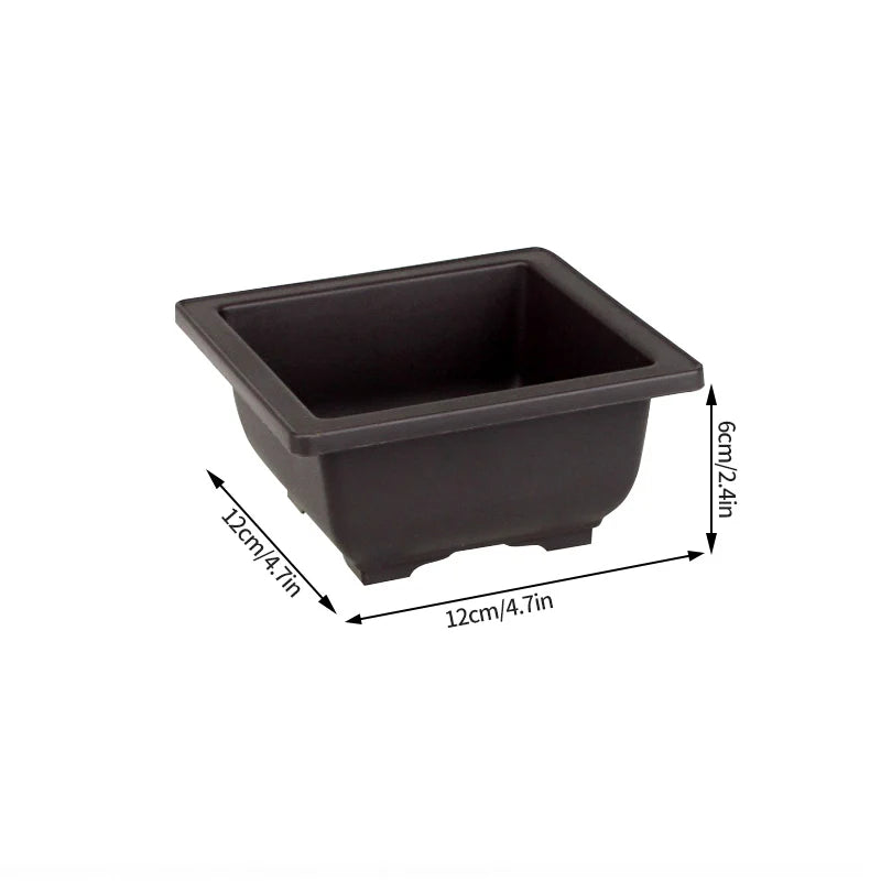 Garden Landscape Bonsai Pot Trays Rectangular Square Planter