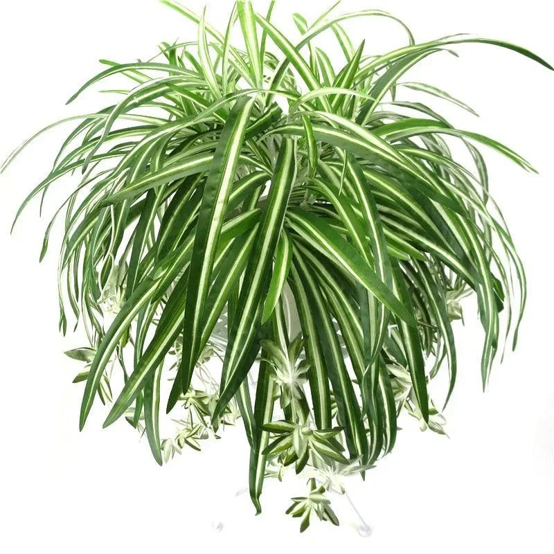 Artificial Plants Wall Hanging Chlorophytum Potted Green PVC 65cm