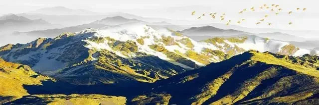 Gorgeous Canvas Print Painting Lake Forest Mountain Decoration Picture