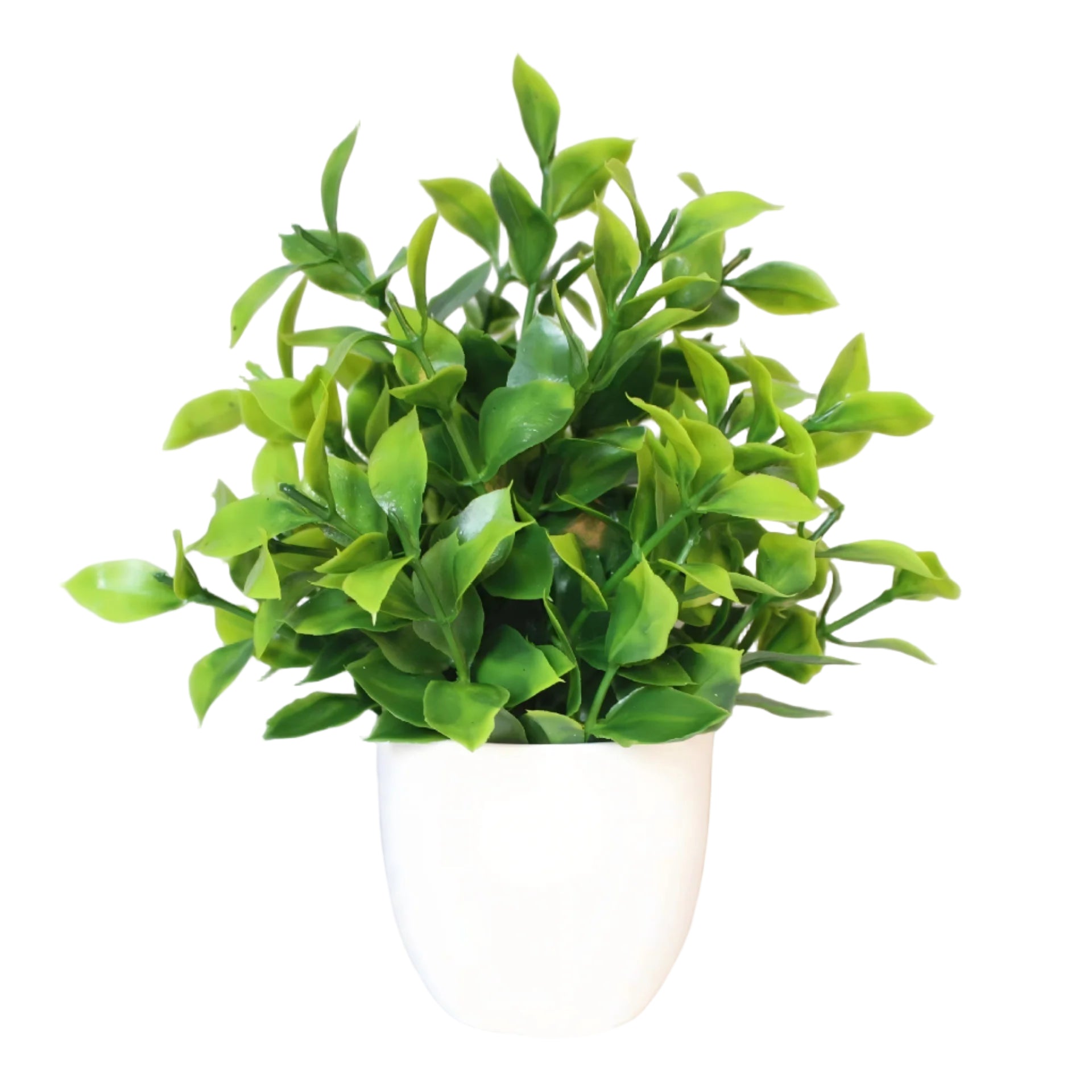 Artificial Christmas Tree, Green Potted Plants, Kitchen