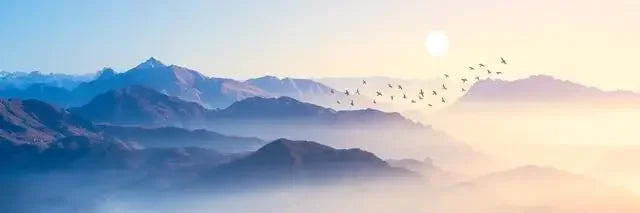 Gorgeous Canvas Print Painting Lake Forest Mountain Decoration Picture