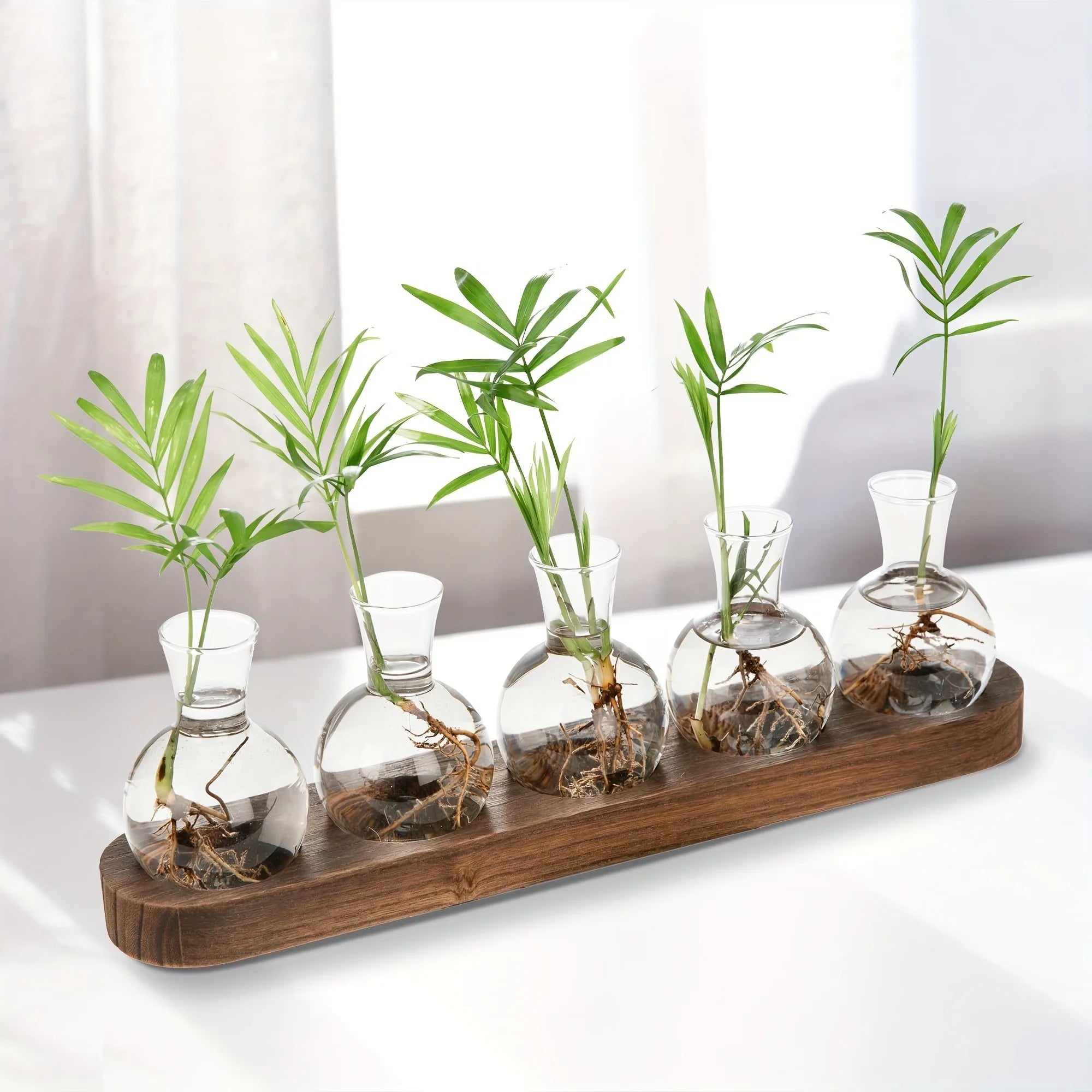 Hydroponic Vase for Indoor Propagation Station Decor