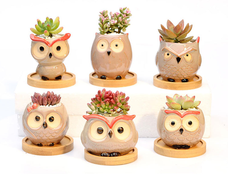 Ceramic Owl Flower Pot Garden Office Decoration