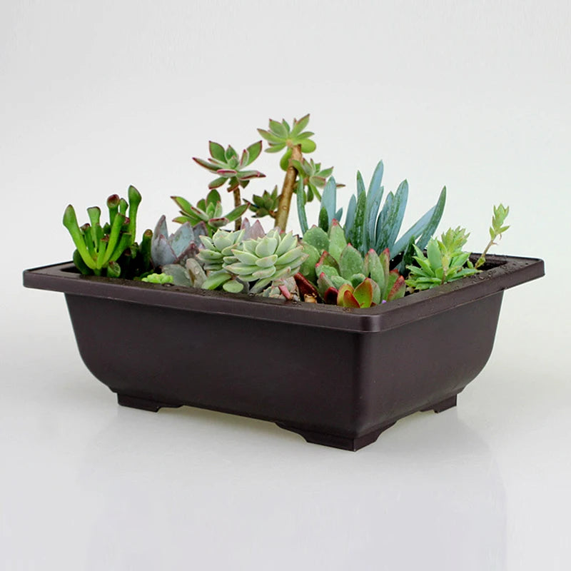 Garden Landscape Bonsai Pot Trays Rectangular Square Planter