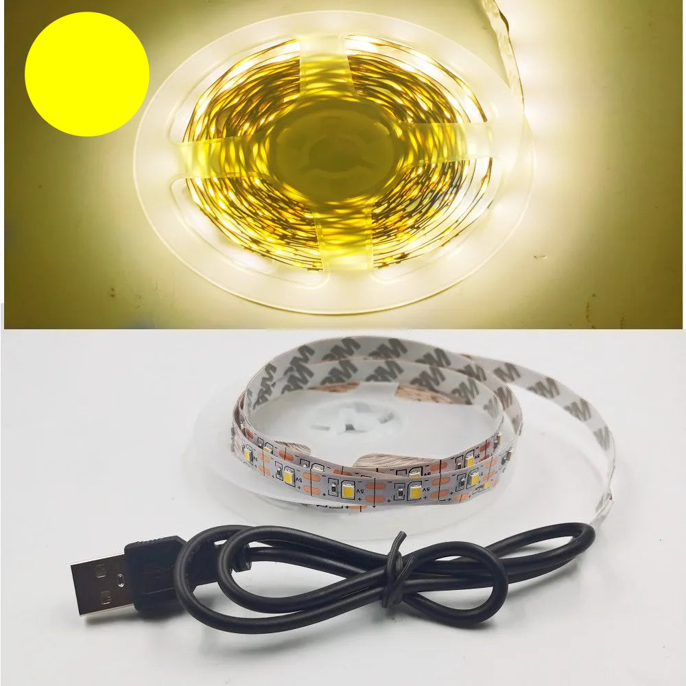 USB LED Strip Light 5V 3528 Warm Cool White Pink Green Blue Red