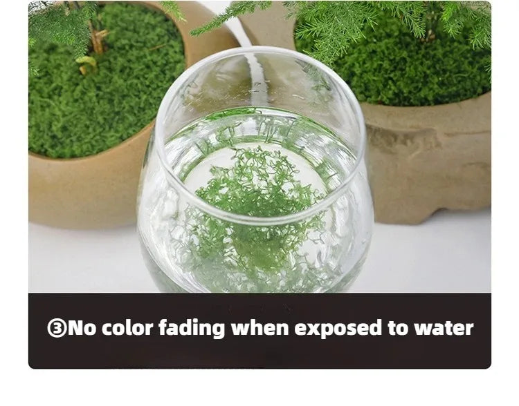 Garden Decoration Mini Landscape Fake