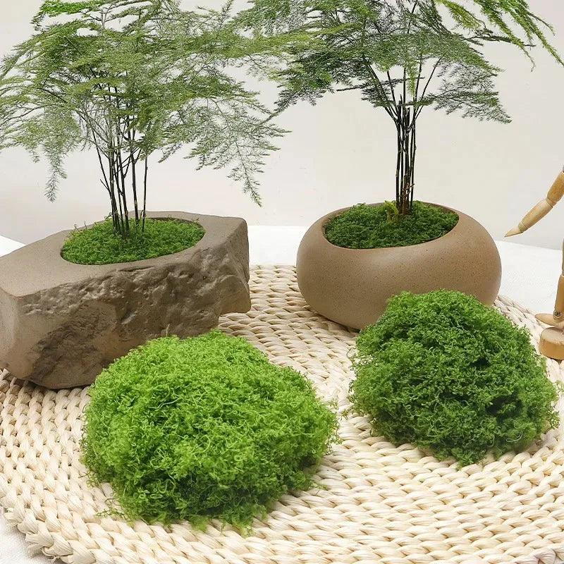 Garden Decoration Mini Landscape Fake