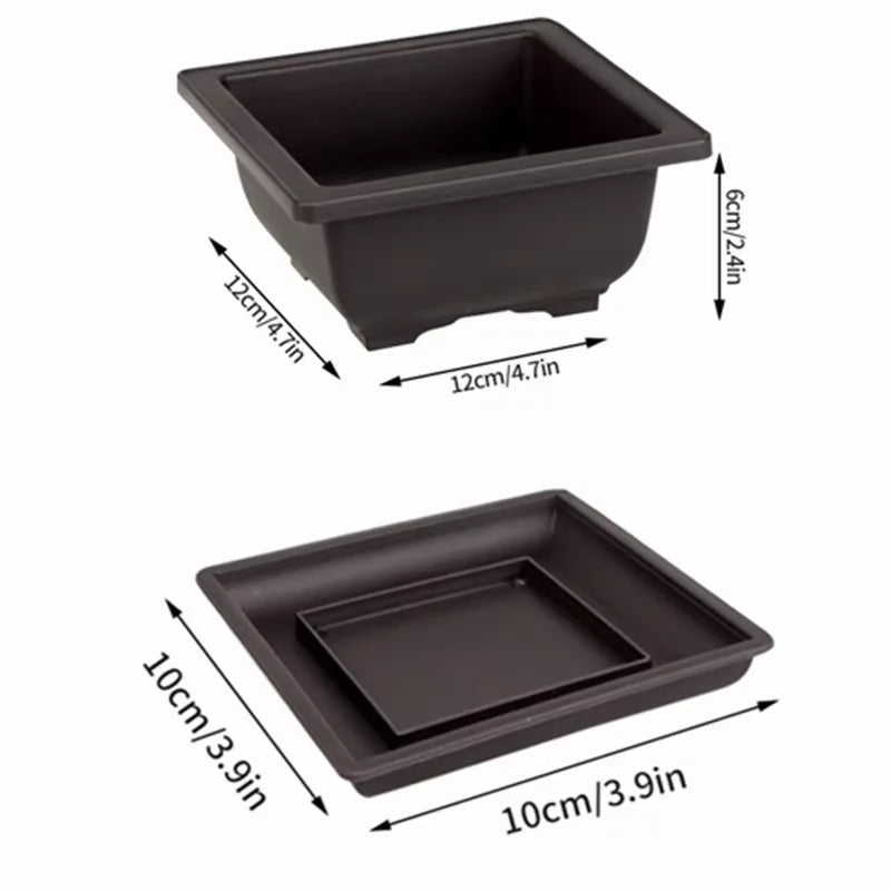 Garden Landscape Bonsai Pot Trays Rectangular Square Planter