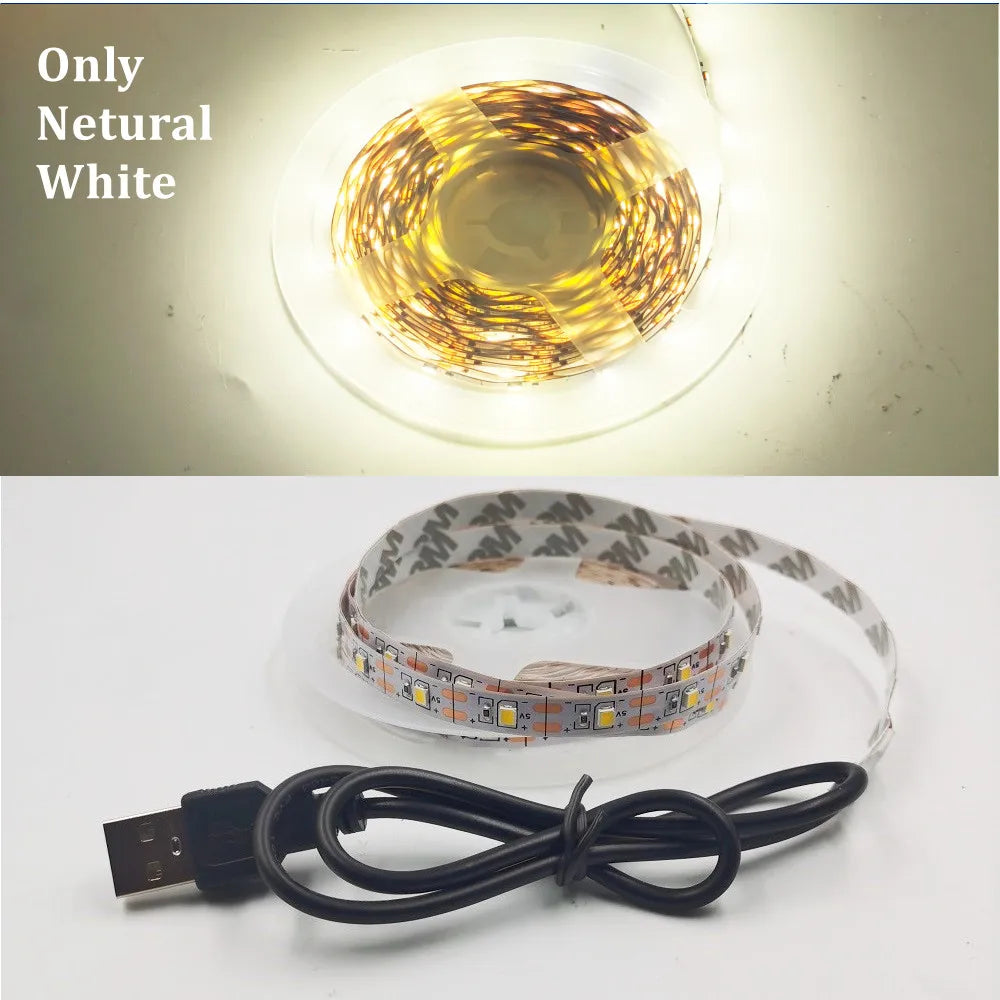 USB LED Strip Light 5V 3528 Warm Cool White Pink Green Blue Red