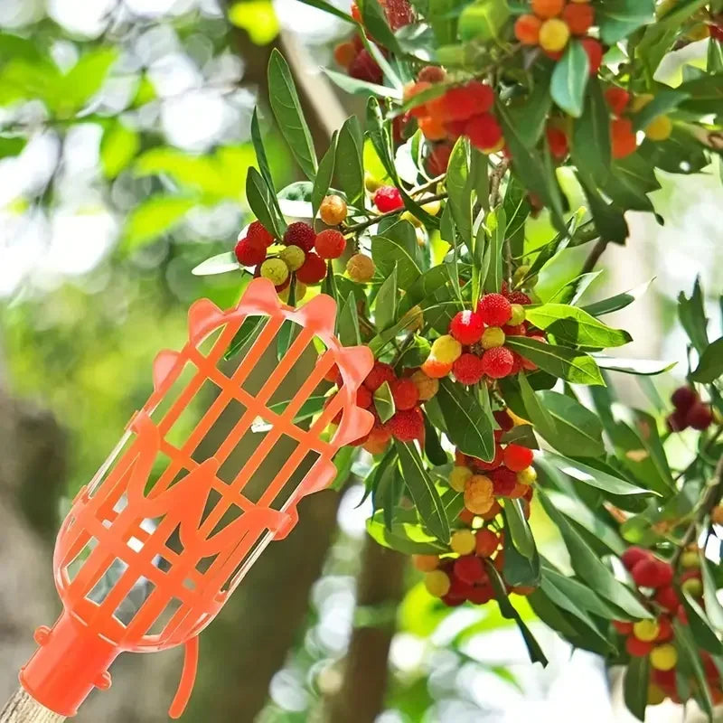 Plastic Garden Harvesting Tool for Loquat