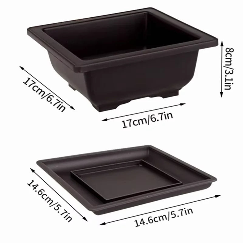 Garden Landscape Bonsai Pot Trays Rectangular Square Planter