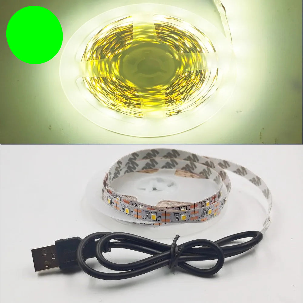 USB LED Strip Light 5V 3528 Warm Cool White Pink Green Blue Red