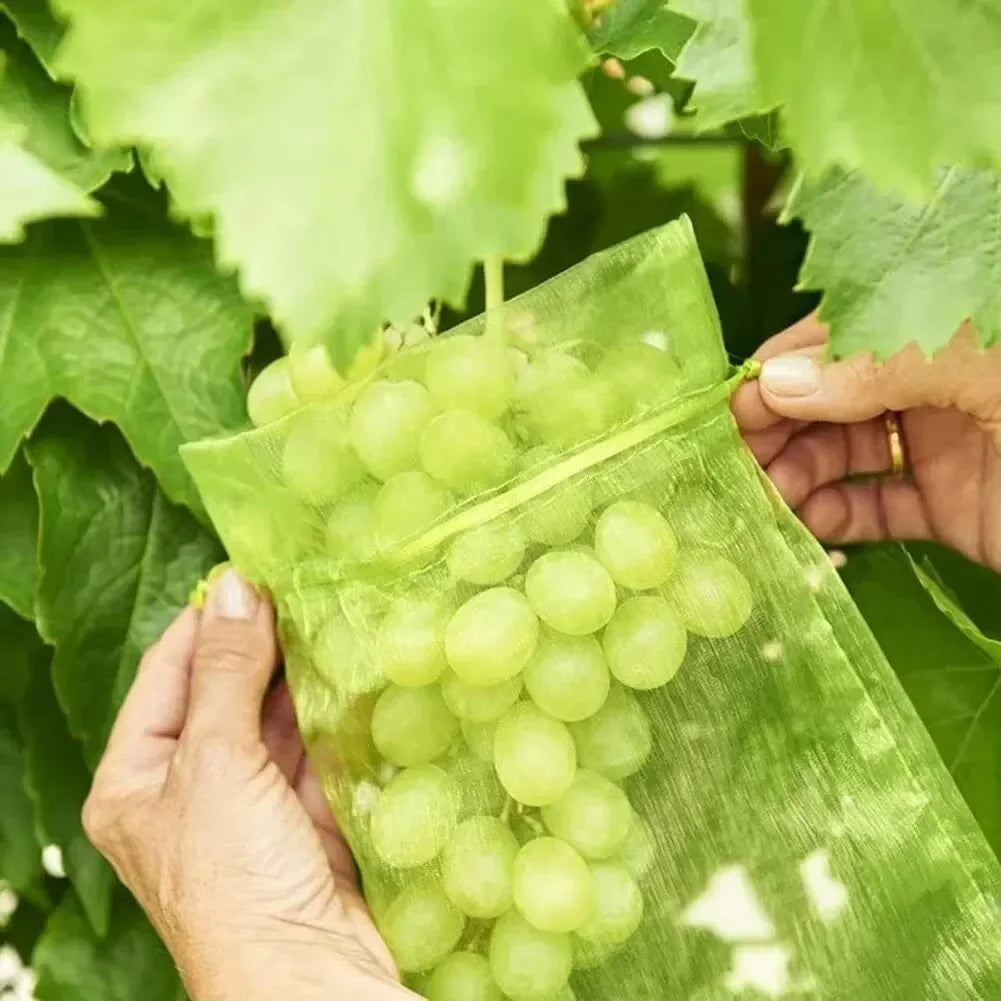 Fruit Protection Bags Anti-Bird Garden Netting