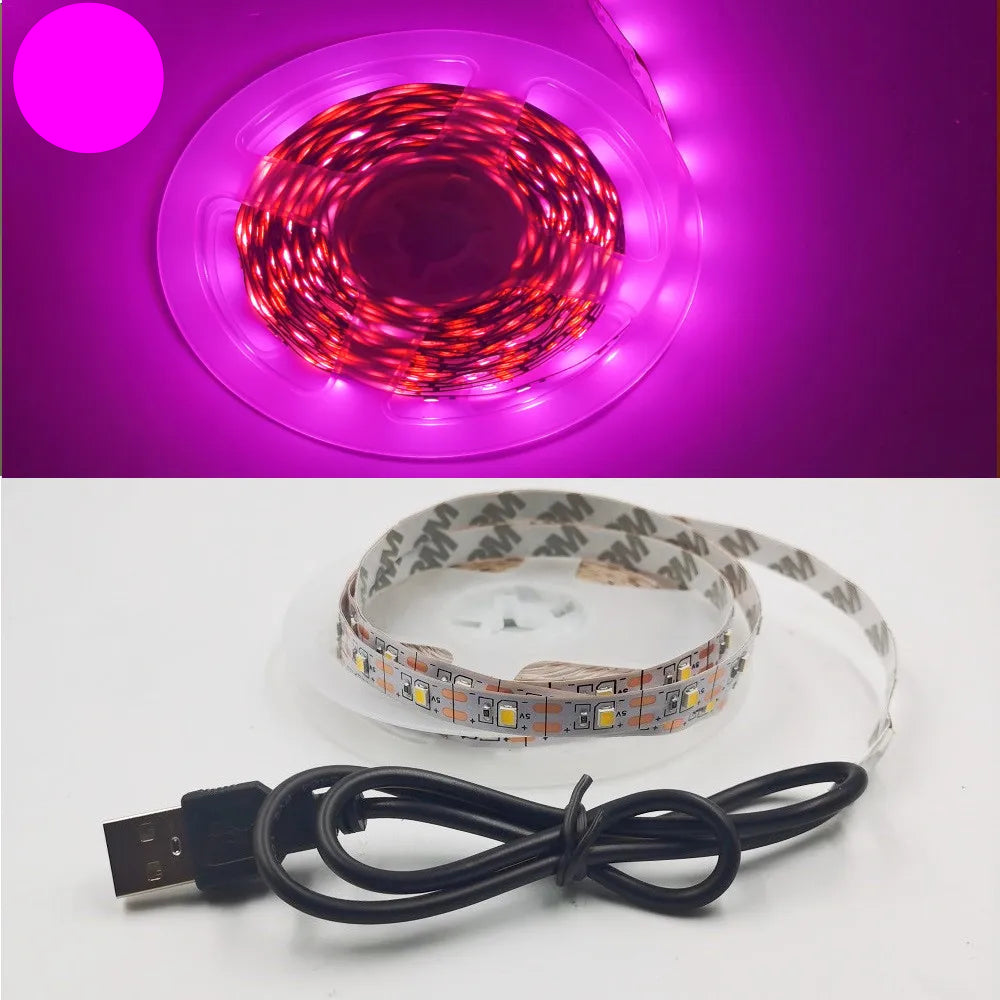 USB LED Strip Light 5V 3528 Warm Cool White Pink Green Blue Red