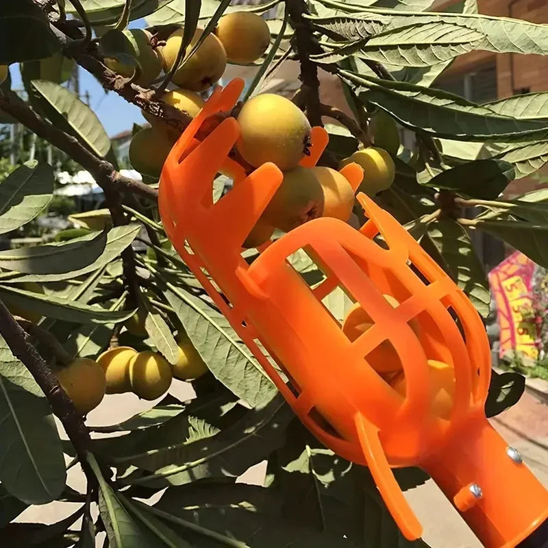 Plastic Garden Harvesting Tool for Loquat