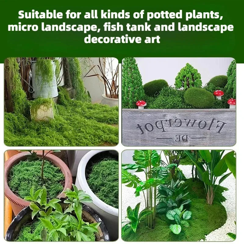 Garden Decoration Mini Landscape Fake