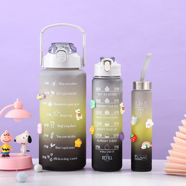 KIT 3 GARRAFAS 2Litros 900ml 300ml Squeeze Fases Motivadoras Adesivos 2D 3D - enoughdream.com