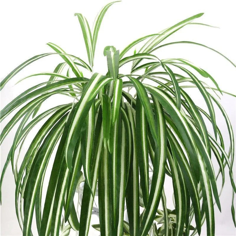 Artificial Plants Wall Hanging Chlorophytum Potted Green PVC  65cm