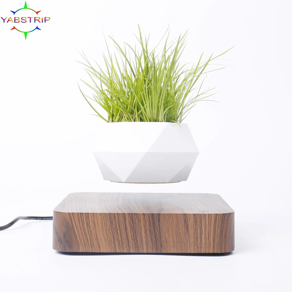 Magnetic  Suspension Floating Pot Potted Plant Home Desk Decor
