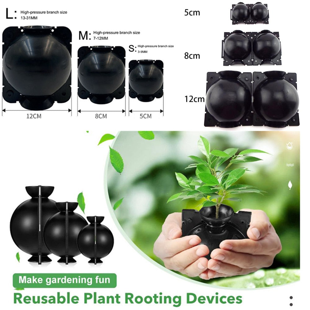 20Pcs 10Pcs 8Pcs Reusable Plant Rooting Ball - enoughdream.com