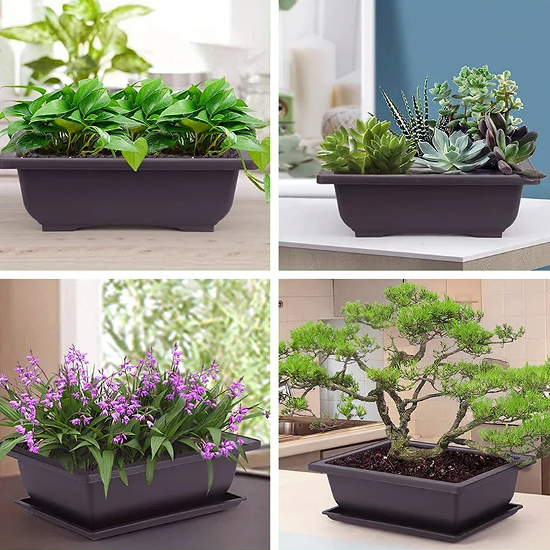 Garden Landscape Bonsai Pot Trays Rectangular Square Planter