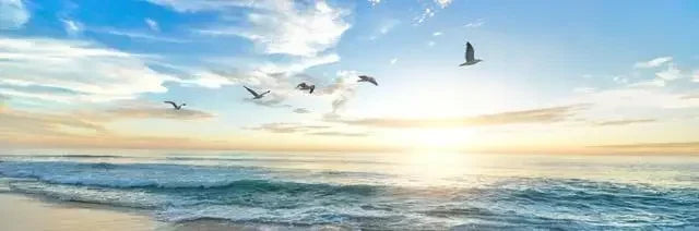 Gorgeous Canvas Print Painting Lake Forest Mountain  Decoration Picture