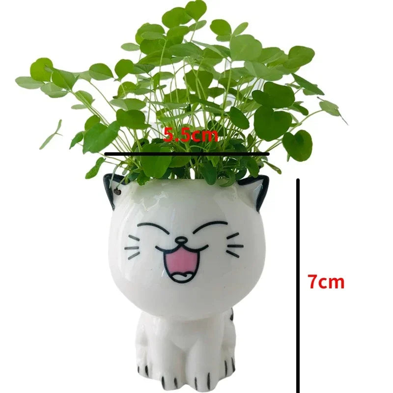 Ceramic Flowerpot Mini Cat Cartoon