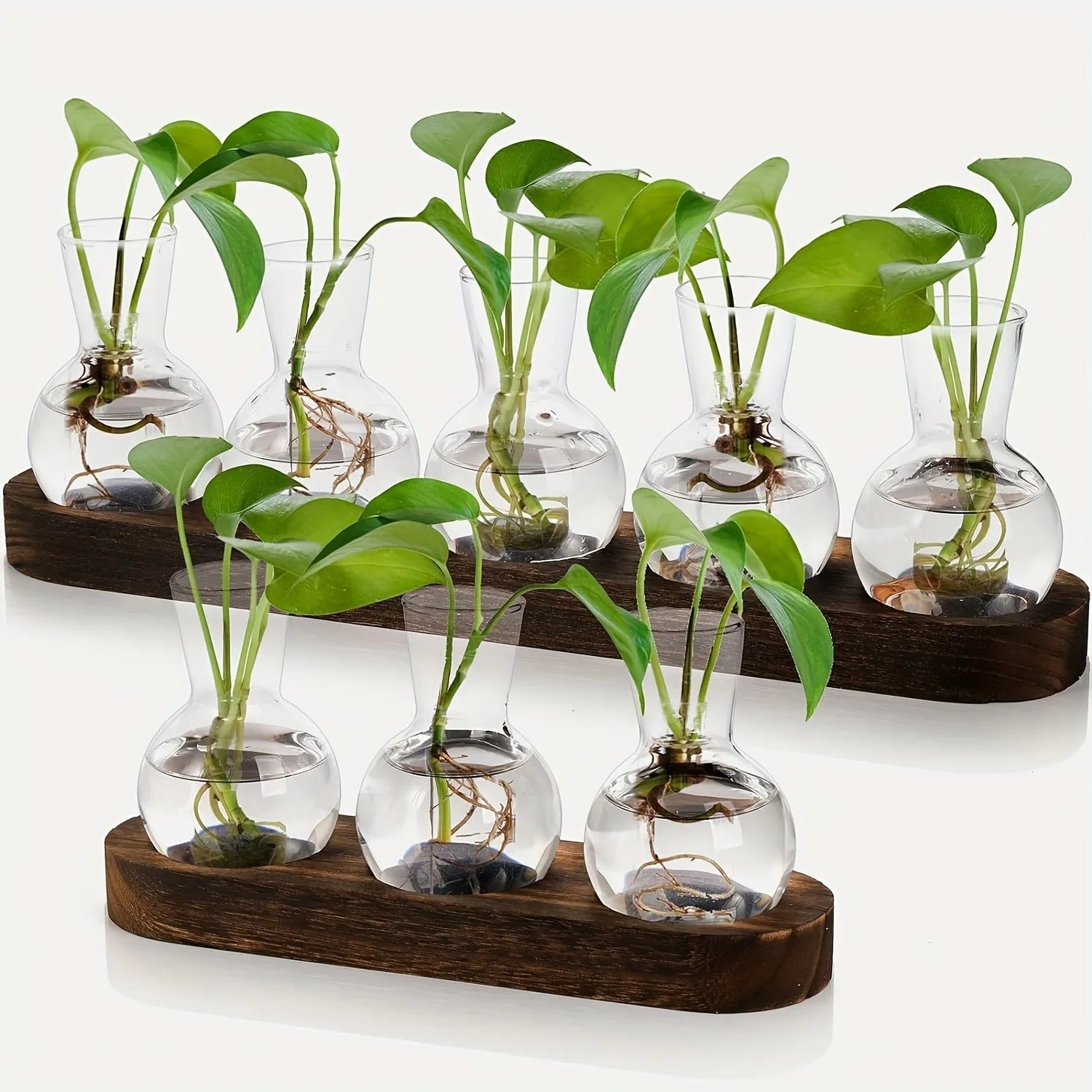 Hydroponic Vase for Indoor Propagation Station Decor