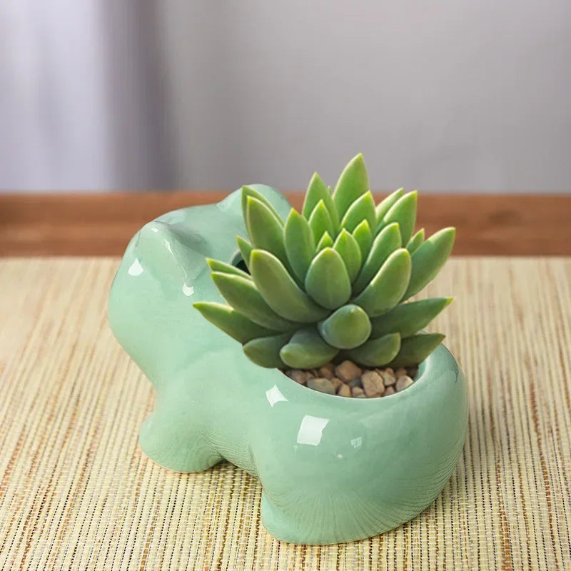 Pot with Hole Cute Green Plants Planter Home Garden Decoration outdoor