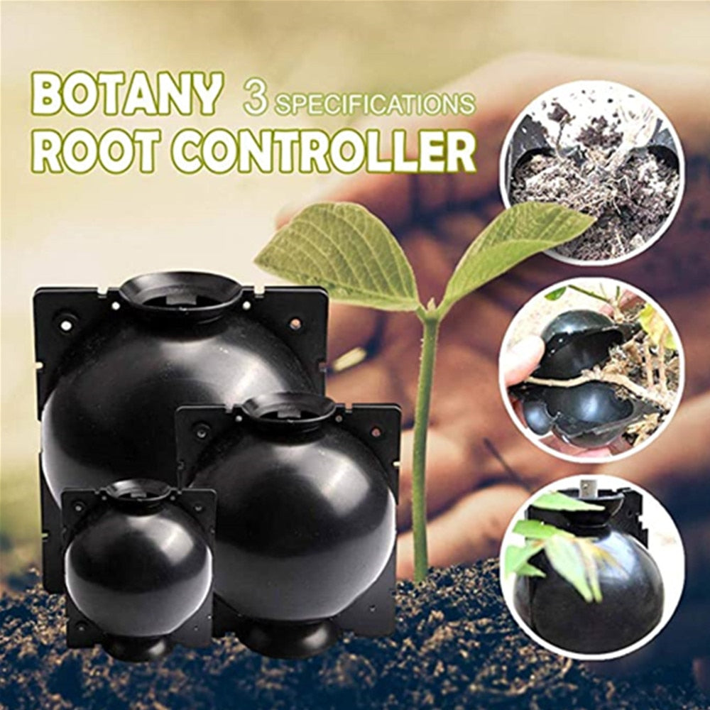 20Pcs 10Pcs 8Pcs Reusable Plant Rooting Ball - enoughdream.com