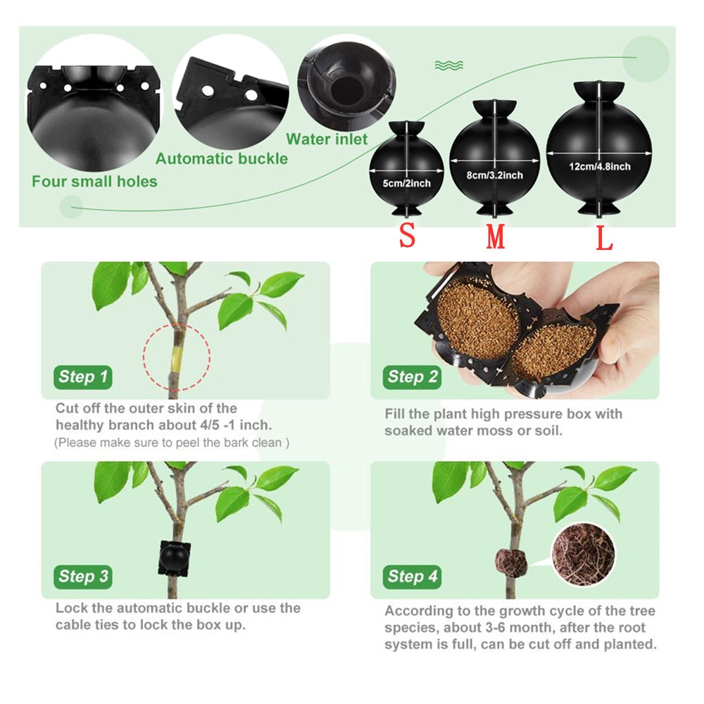 20Pcs 10Pcs 8Pcs Reusable Plant Rooting Ball - enoughdream.com