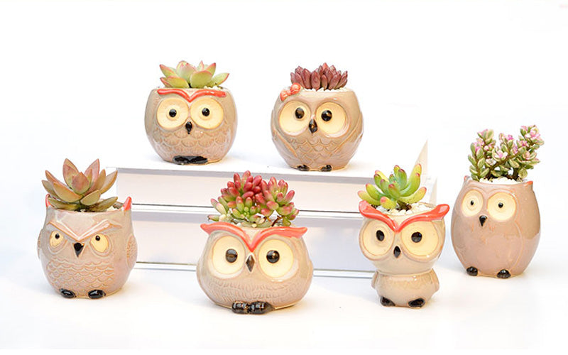 Ceramic Owl Flower Pot Garden Office Decoration