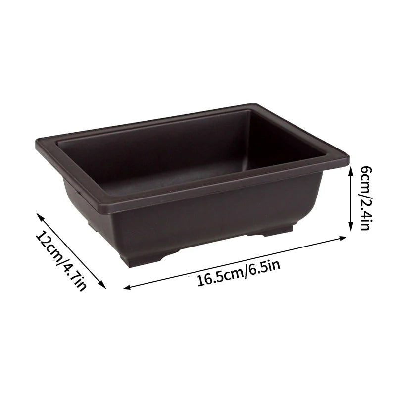 Garden Landscape Bonsai Pot Trays Rectangular Square Planter
