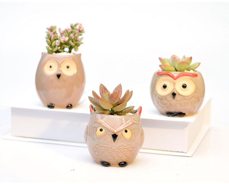Ceramic Owl Flower Pot Garden Office Decoration