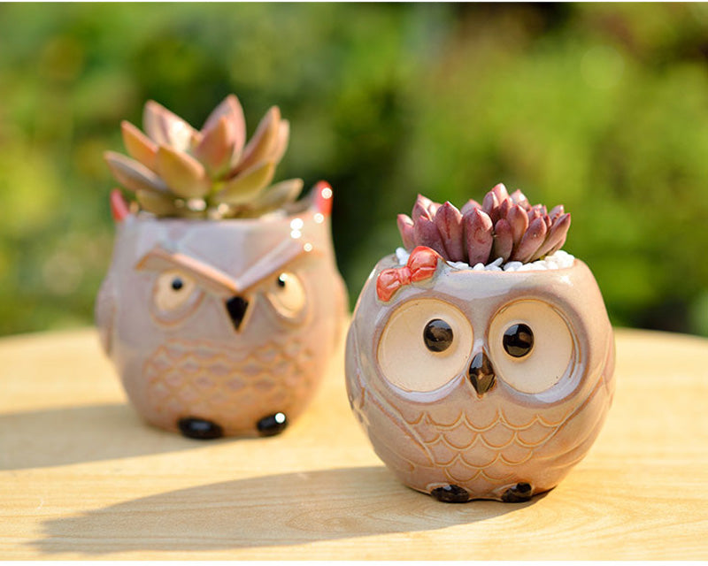 Ceramic Owl Flower Pot Garden Office Decoration