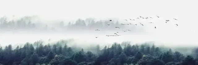 Gorgeous Canvas Print Painting Lake Forest Mountain  Decoration Picture