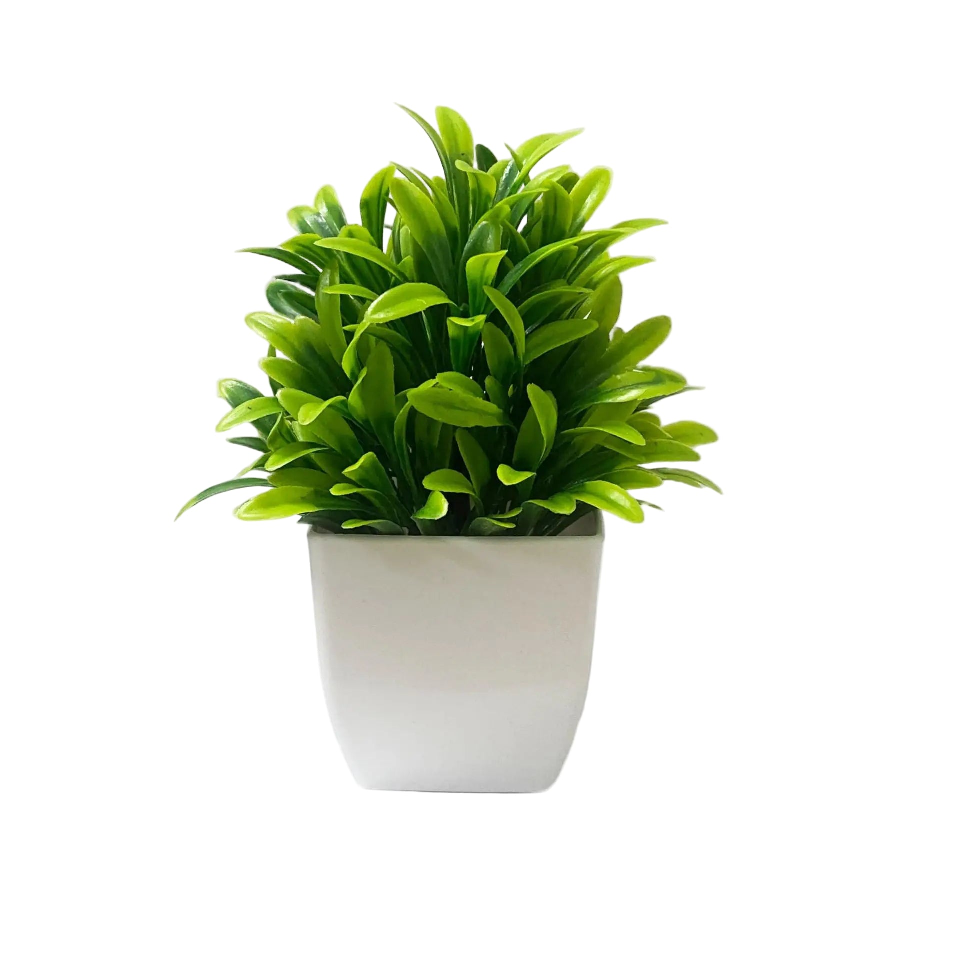 Artificial Christmas Tree, Green Potted Plants, Kitchen