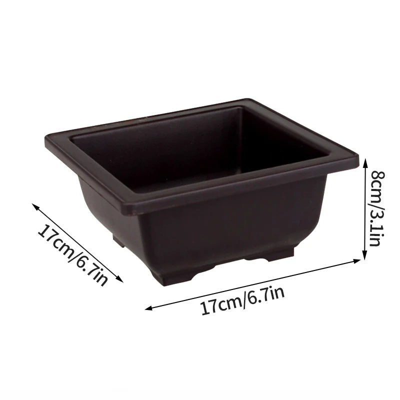 Garden Landscape Bonsai Pot Trays Rectangular Square Planter