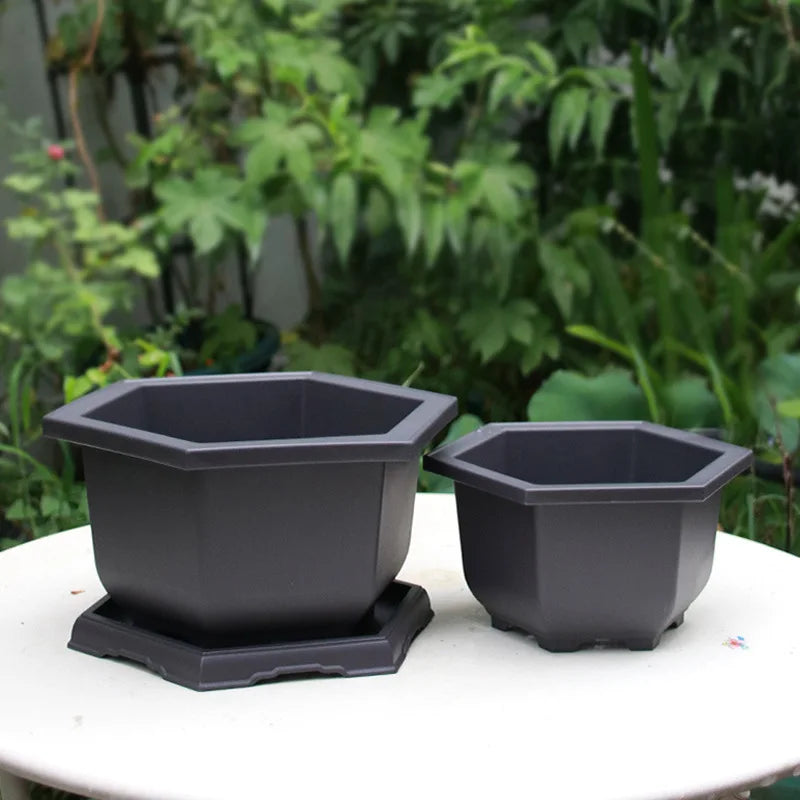 Garden Landscape Bonsai Pot Trays Rectangular Square Planter