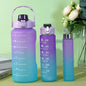 3PCS Sports Water Bottle, Perfect For Office, School - enoughdream.com
