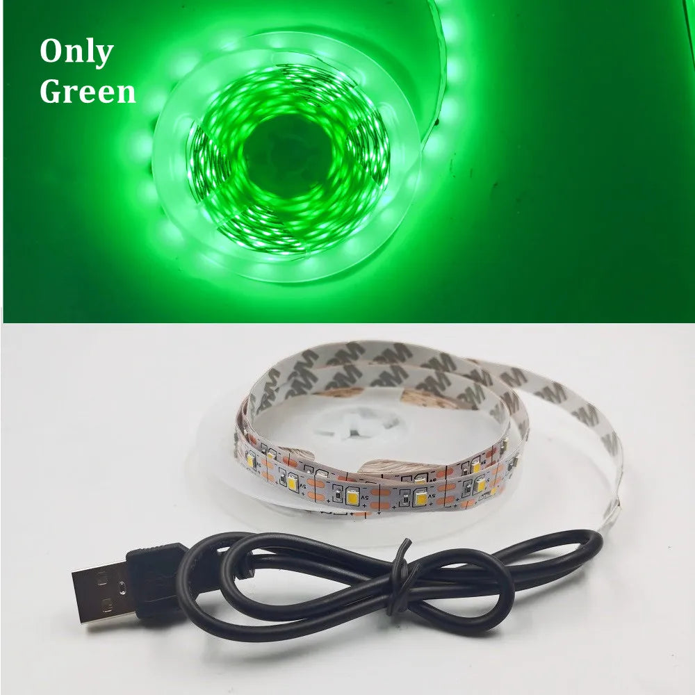 USB LED Strip Light 5V 3528  Warm Cool White Pink Green Blue Red