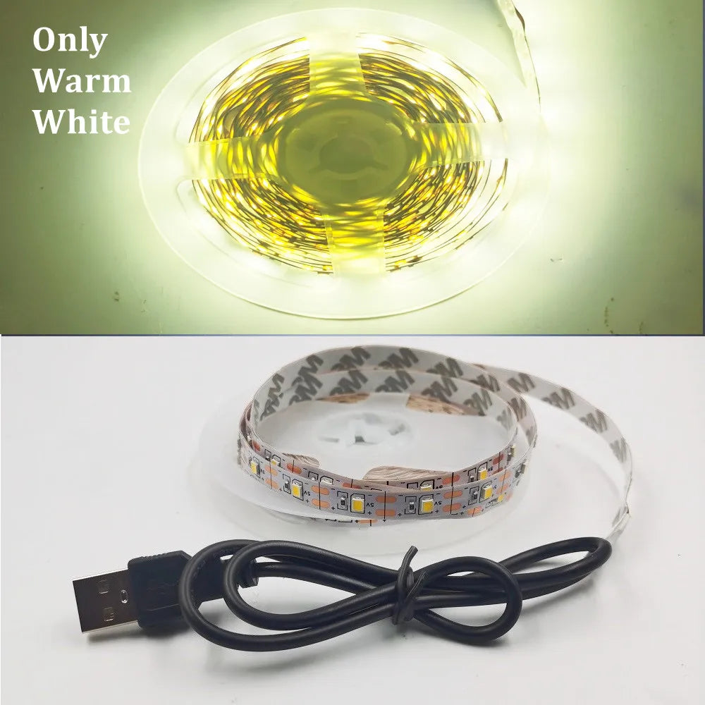 USB LED Strip Light 5V 3528  Warm Cool White Pink Green Blue Red
