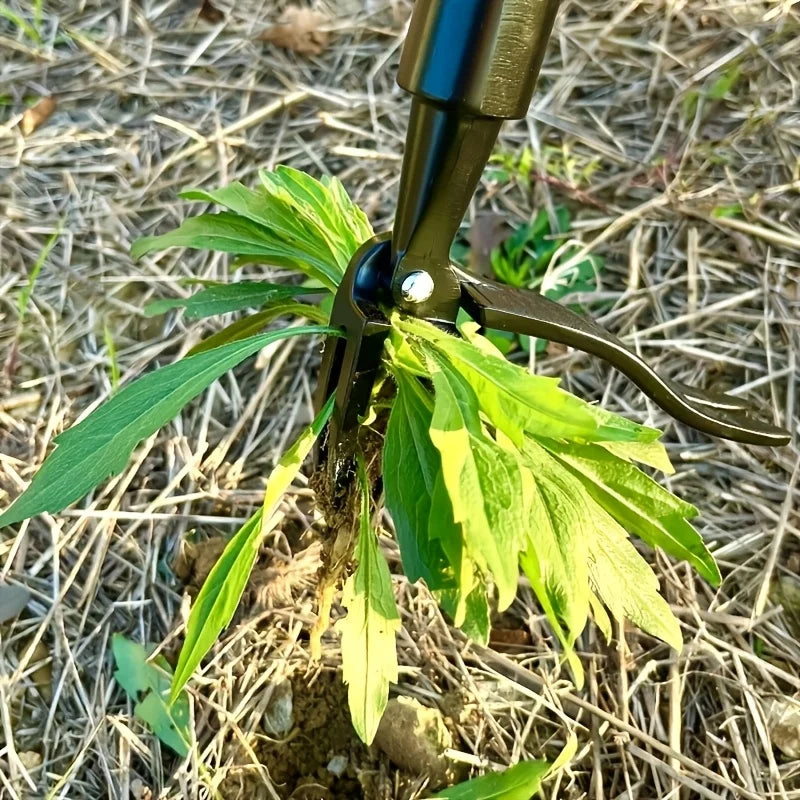 Professional Root Extractor for Tough Garden Weeds