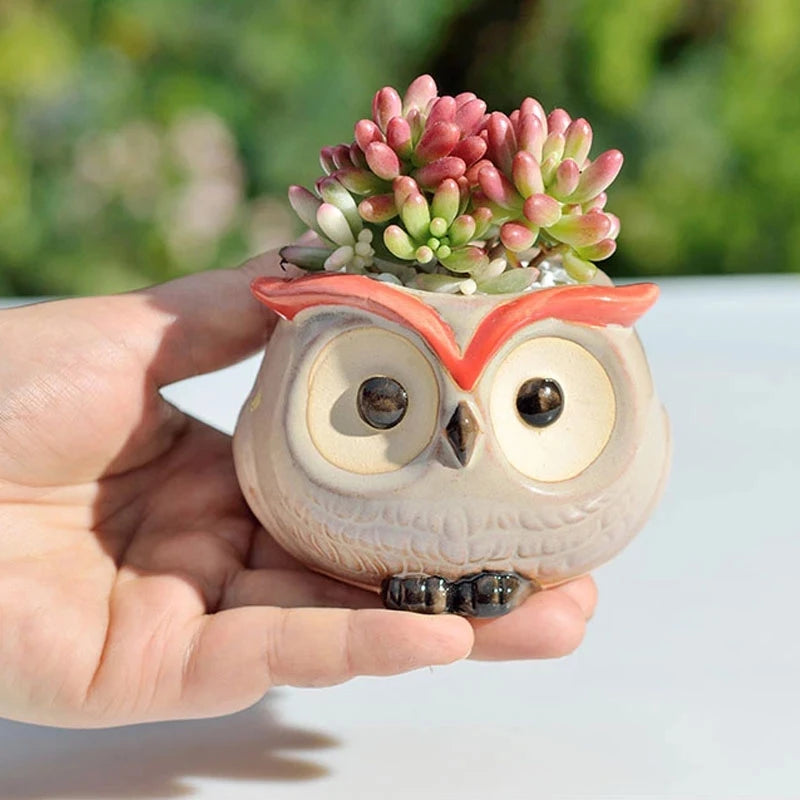Ceramic Owl Flower Pot Garden Office Decoration