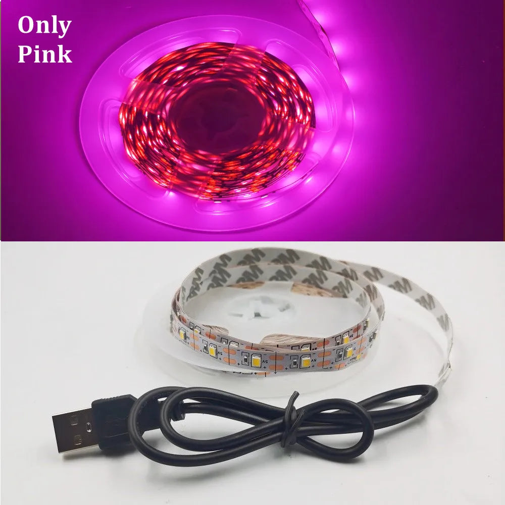 USB LED Strip Light 5V 3528  Warm Cool White Pink Green Blue Red