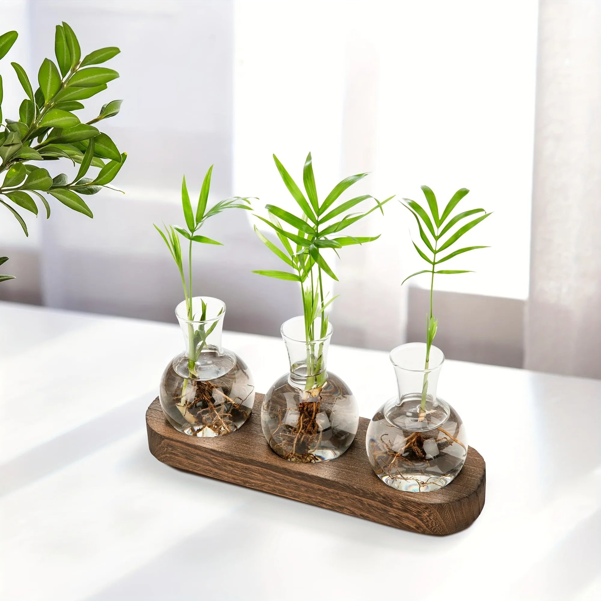 Hydroponic Vase for Indoor Propagation Station Decor